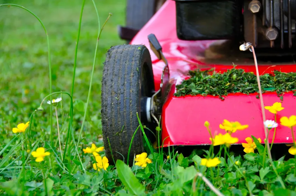 tondeuse jardin rouge